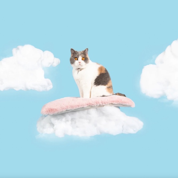 cheshire and wain london cat cloud® throw & bed set - Picture 3 of 5